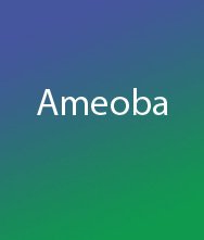 Ameoba